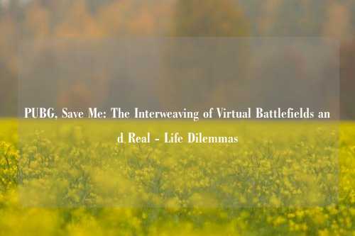 PUBG, Save Me: The Interweaving of Virtual Battlefields and Real - Life Dilemmas