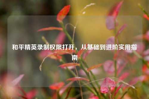 和平精英录制权限打开,从基础到进阶实用指南