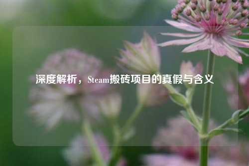 深度解析,Steam搬砖项目的真假与含义
