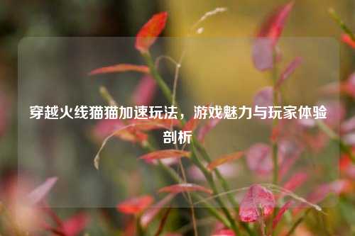 穿越火线猫猫加速玩法,游戏魅力与玩家体验剖析