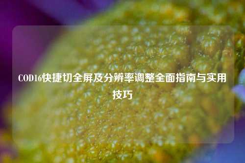 COD16快捷切全屏及分辨率调整全面指南与实用技巧