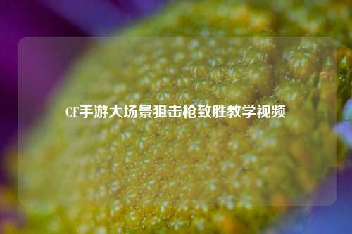CF手游大场景狙击枪致胜教学视频
