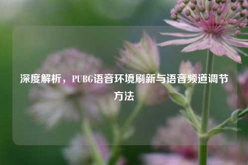 深度解析,PUBG语音环境刷新与语音频道调节