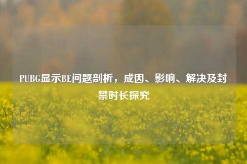PUBG显示BE问题剖析,成因、影响、解决及封禁时长探究