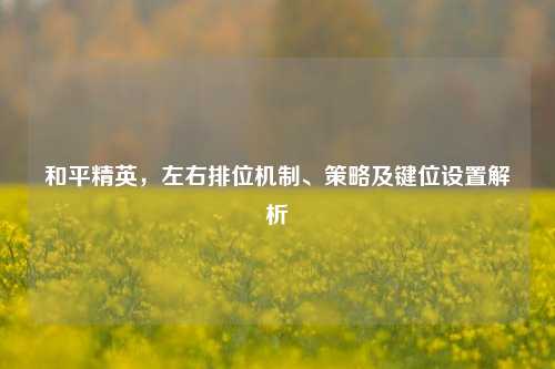 和平精英,左右排位机制、策略及键位设置解析